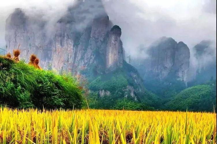 两人执教如儿戏,崔康熙成绩不能服众,国足换帅只能选奎罗斯?