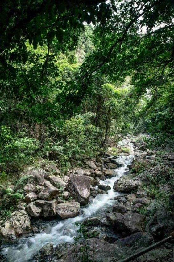 企鹅回城5之飞渡横木